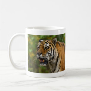Tiger zeigt seine Zähne Kaffeetasse