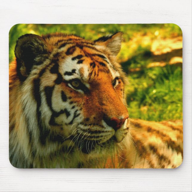 Tigerauflage Mousepad (Vorne)
