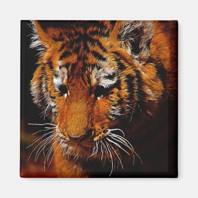 Tigeraugen Magnet (Vorne)