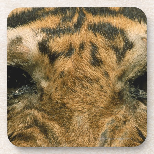 Tigeraugen Untersetzer (Vorderseite)