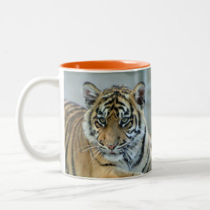 Tigerbaby_001 Zwei-Tonen-Kaffeepause Tasse