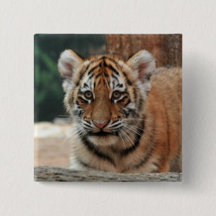 Tigerbaby-Knopf Button