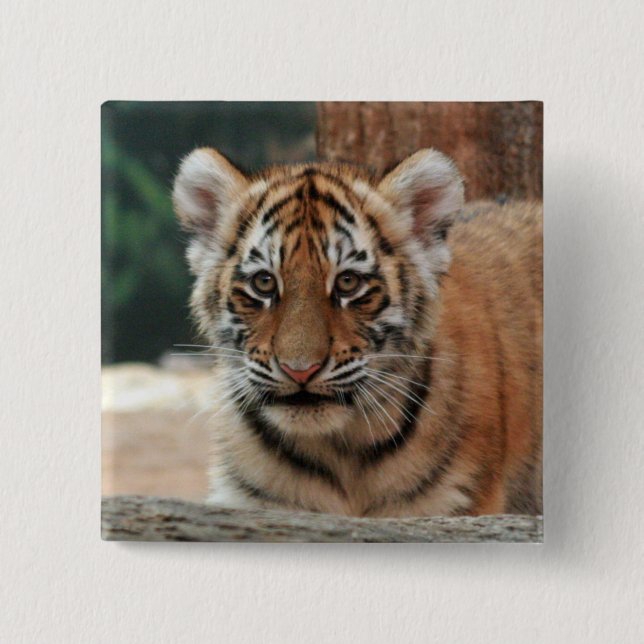 Tigerbaby-Knopf Button (Vorderseite)