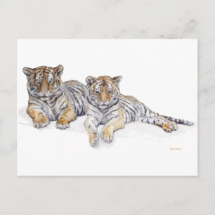 Tigercubs Postkarte