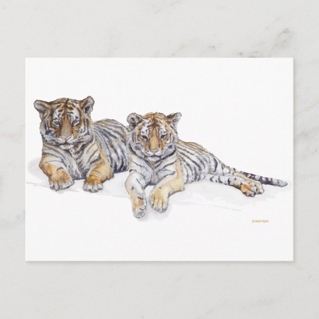 Tigercubs Postkarte (Vorderseite)