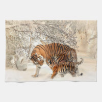 Tigerfamilie im Winter