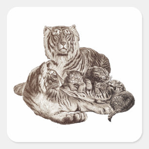 Tigerfamilie Quadratischer Aufkleber