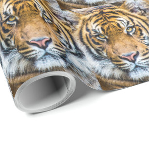 Tigerfeld Geschenkpapier