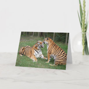 TigerFriends 2007 Karte