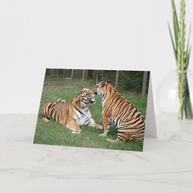TigerFriends 2007 Karte (Vorderseite)