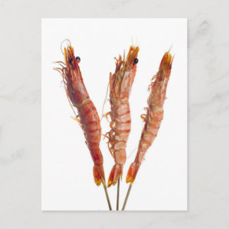 Tigergarnele, gegrillt auf einem Spieß Postkarte