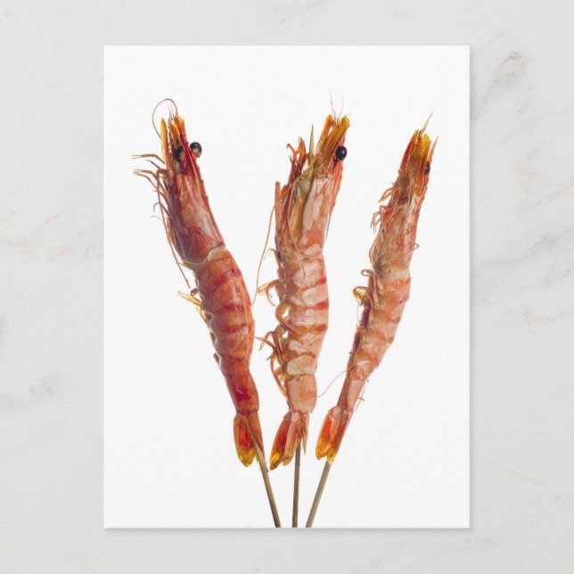 Tigergarnele, gegrillt auf einem Spieß Postkarte (Vorderseite)