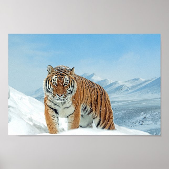 Tigergebirge Winterlandschaft Foto Schnee drucken Poster (Vorne)