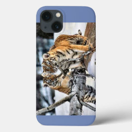Tigerjungen Case-Mate iPhone Hülle