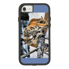 Tigerjungen title_seo2