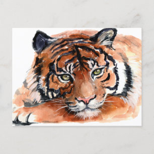 Tigerjunges Aquarell Postkarte