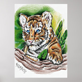 Tigerjunges – Handgezeichnete farbige Bleistiftill Poster