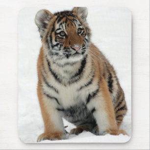 Tigerjunges im Schnee Foto Mousepad