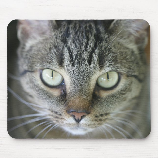 Tigerkatzengesicht Mousepad (Vorne)