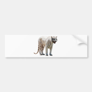 Tigerkatzenstreifen personalisieren diy Jahrestage Autoaufkleber