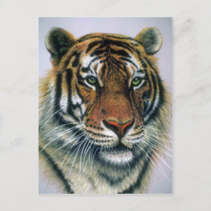 Tigerkopf Postkarte