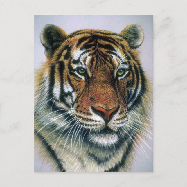 Tigerkopf Postkarte (Vorderseite)