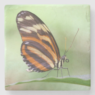 Tigerlangung Steinuntersetzer