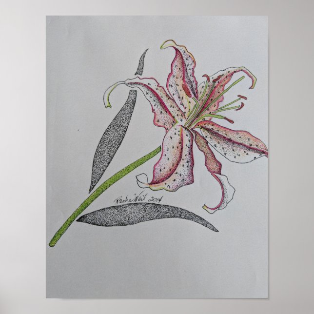Tigerlilie, Wilde Lilie, Lily Blume, Orange Art Poster (Vorne)