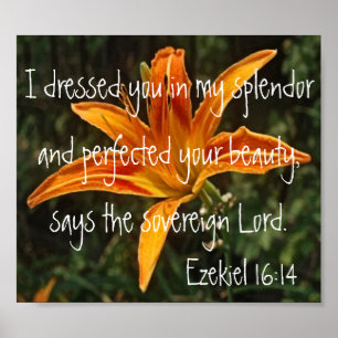 Tigerlilien-Bibel-Vers Ezekiel 16:14 Poster