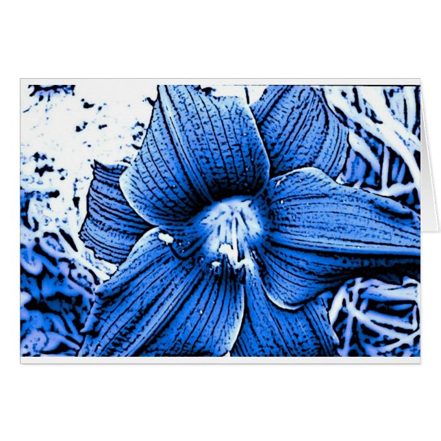 Tigerlilly bleu (Devant horizontal)