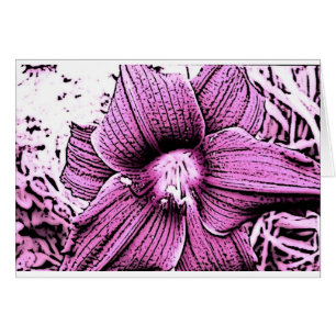 Tigerlilly rose