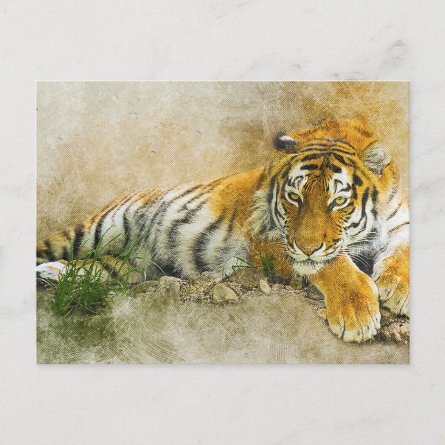Tigermalerei Postkarte (Vorderseite)