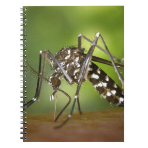 Tigermoskito Notizblock
