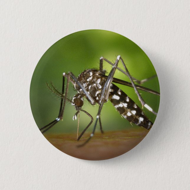 Tigermücke Button (Vorderseite)