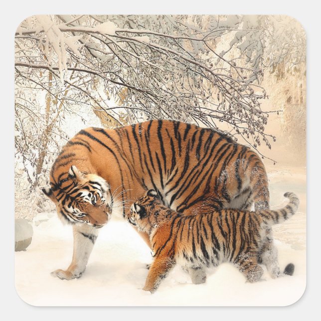 Tigermutter und Babyaufkleber Quadratischer Aufkleber (Vorderseite)