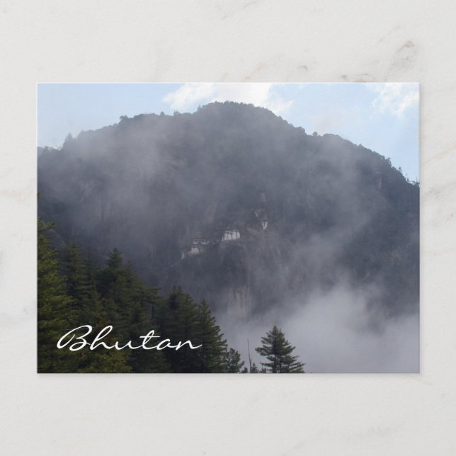 Tigernebel Postkarte (Vorderseite)