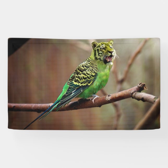 TigerParakeet Banner (Horizontal)
