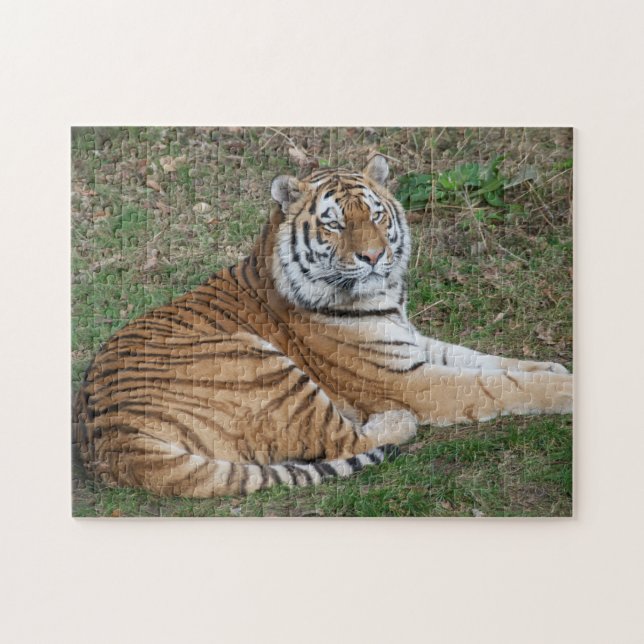 Tigerpuzzle (Horizontal)