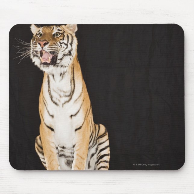 Tigerrost Mousepad (Vorne)