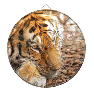 Tigerruhe Dartscheibe