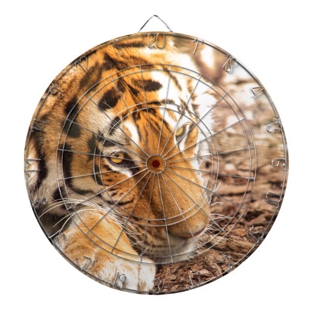 Tigerruhe Dartscheibe (vorne)