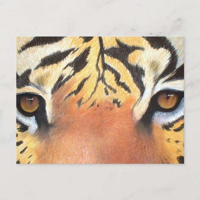 Tigers Eyes Postkarte (Vorderseite)