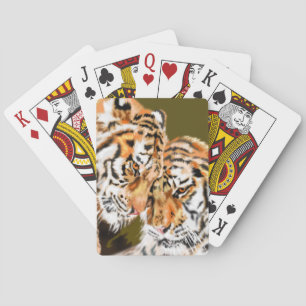 Tigers Family Playing Cards Geschenk Spielkarten