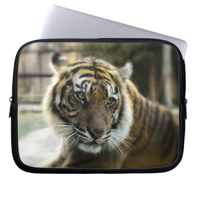 Tiger's Grace Laptopschutzhülle (Vorderseite)