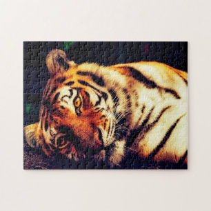 Tigers Große Katzen.