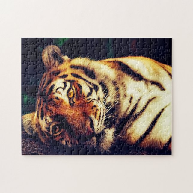 Tigers Große Katzen. (Horizontal)