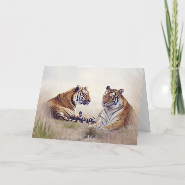 Tigers Grußkarte Karte (Vorderseite)