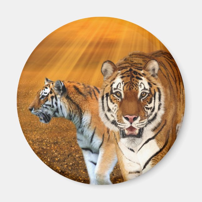 Tigers Magnet (Vorne)
