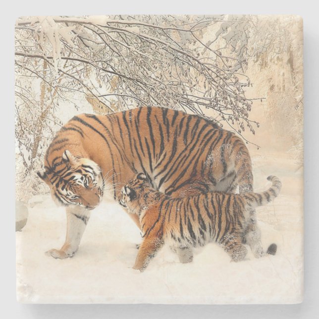 Tigers Steinuntersetzer (Vorderseite)