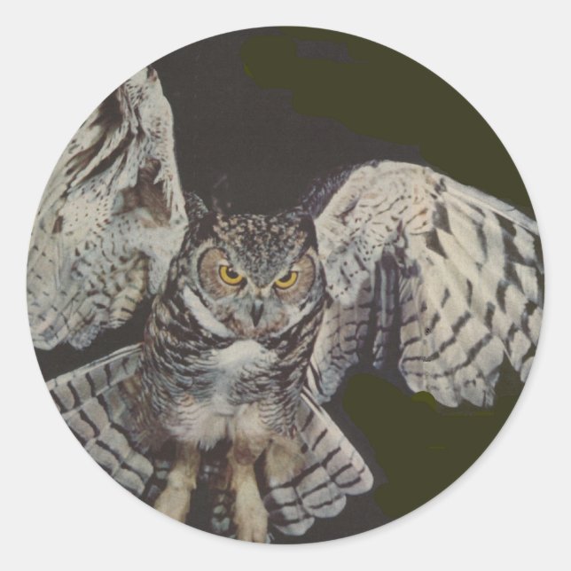 Tigerschüssel Runder Aufkleber (Vorderseite)